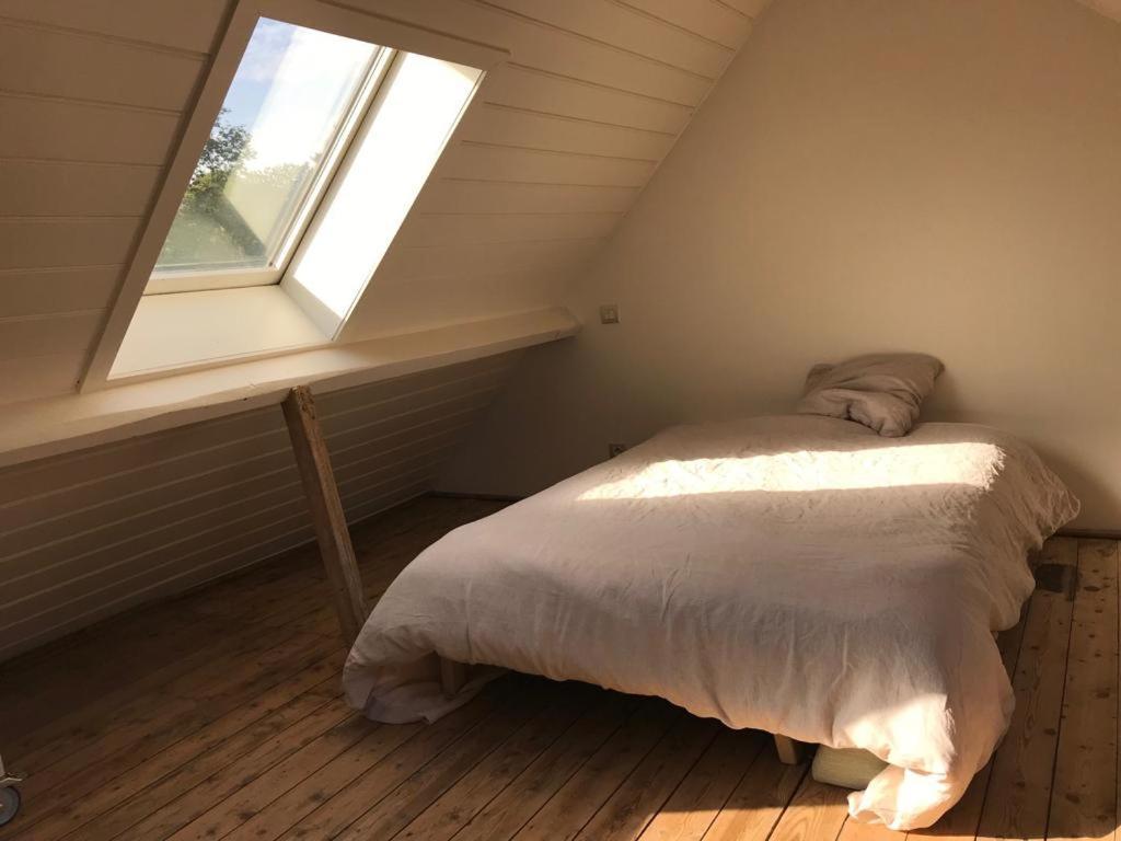 Studio Minerva Антверпен Екстериор снимка